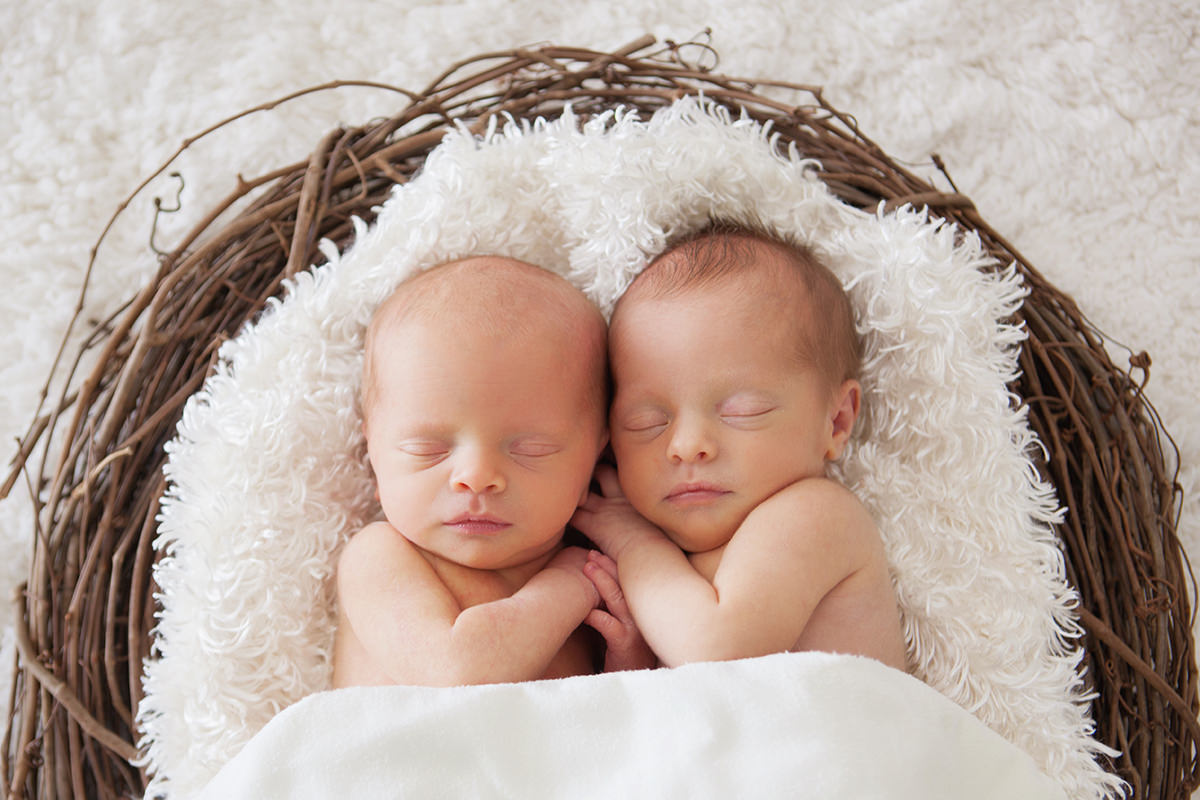 Newborn Babies laying on Fluffy Blanket in Nest